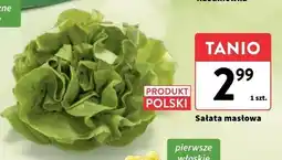 Intermarche Sałata masłowa oferta