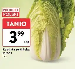 Intermarche Kapusta pekińska młoda oferta