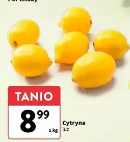 Intermarche Cytryny oferta