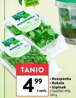 Intermarche Szpinak młody Z Sadów I Pól oferta