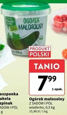 Intermarche Ogórek małosolny Z Sadów I Pól oferta