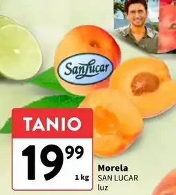 Morele Sanlucar