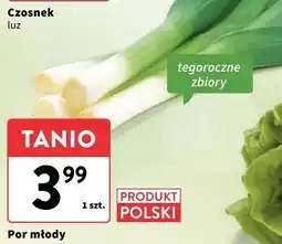 Intermarche Por młody oferta