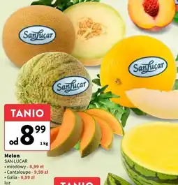 Intermarche Melon galia Sanlucar oferta