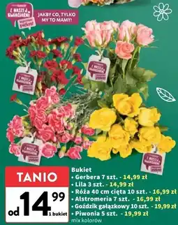 Intermarche Piwonie bukiet oferta