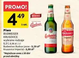 Intermarche Piwo Krusovice Imperial oferta