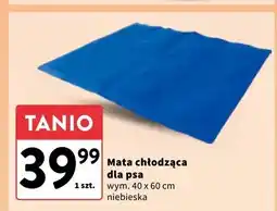 Intermarche Mata chłodząca dla psa 40 x 60 cm oferta