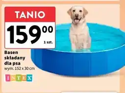 Intermarche Basen dla psa 152 x 30 cm Intex oferta