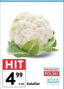 Intermarche Kalafior oferta
