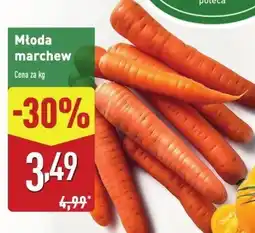 ALDI Marchew młoda Aldi oferta