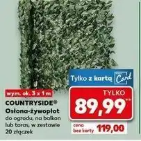Kaufland Osłona żywopłot 300 x 100 cm K-Classic Countryside oferta