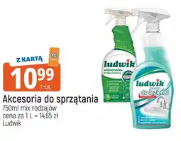 E.Leclerc Pianka czyszcząca uniwersalna eukaliptus i limonka Ludwik oferta