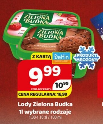 Delfin Lody Zielona Budka 1l oferta