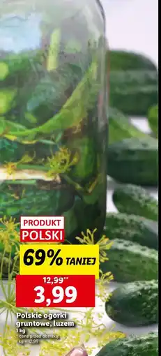 Lidl Ogórki gruntowe oferta