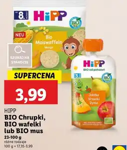 Lidl Mus jabłka-gruszki-dynia Hipp hippis oferta