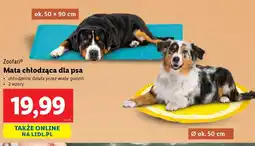 Lidl Mata chłodząca dla psa Zoofari oferta