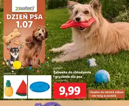 Lidl Zabawka dla psa Zoofari oferta