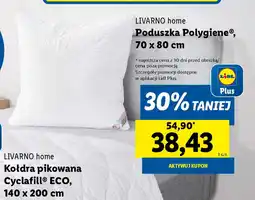 Lidl Poduszka Poligiene® oferta