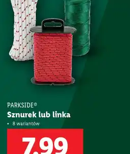 Lidl Sznurek lub linka Parkside oferta