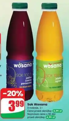 Dino Sok Wosana oferta