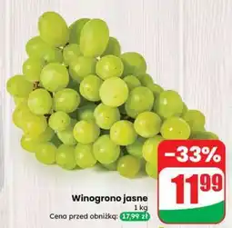 Dino Winogrono jasne oferta