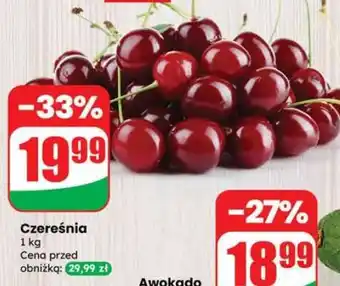 Dino Czereśnia oferta