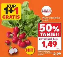 Kaufland Polska rzodkiewka pęczek oferta
