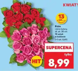 Kaufland Róże oferta