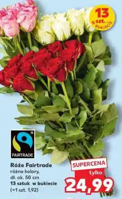 Kaufland Róże Fairtrade oferta
