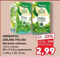 Kaufland HERBAPOL Zielnik polski oferta