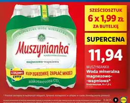 Lidl Woda niegazowana Muszynianka oferta