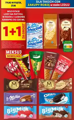 Lidl Lody na patyku, w rożku i lodowe kanapki oferta