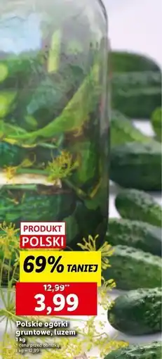 Lidl Ogórek gruntowy oferta