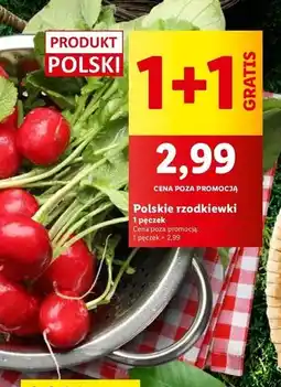 Lidl Rzodkiewka oferta
