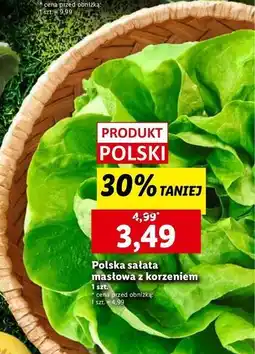 Lidl Sałata masłowa oferta