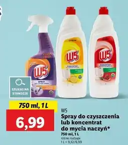 Lidl Spray do czyszczenia kamień i rdza W5 oferta