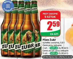 Dino Piwo Żubr oferta