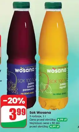Dino Sok jabłko - czarna porzeczka Wosana oferta