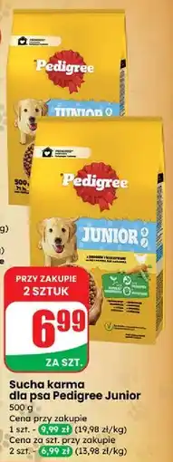 Dino Sucha karma dla psa Pedigree Junior 500g oferta