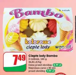 Dino Lody ciepłe bambo Wan-Vit oferta