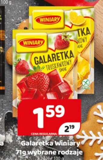 Delfin Galaretka Winiary 71g oferta