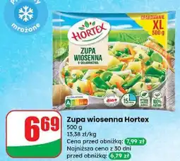 Dino Zupa wiosenna 9-składnikowa Hortex oferta