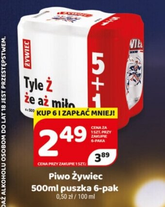 Delfin Piwo Żywiec 500ml oferta