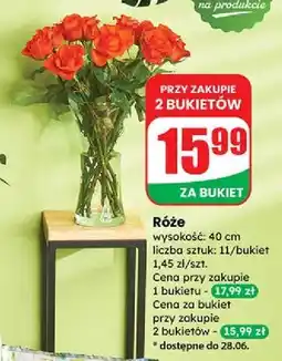 Róże 40 cm