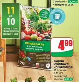 Dino Ziemia uniwersalna oferta