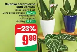 Dino Osłonka ceramiczna Cermax oferta