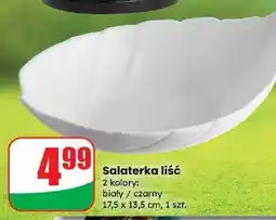 Dino Salaterka liść 15 cm oferta