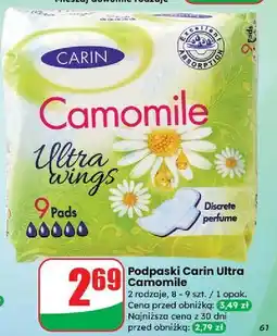 Dino Podpaski camomile Carin oferta
