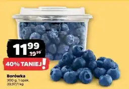 Netto Borówka amerykańska, 1 opak. Netto oferta