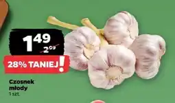 Netto Czosnek młody Netto oferta